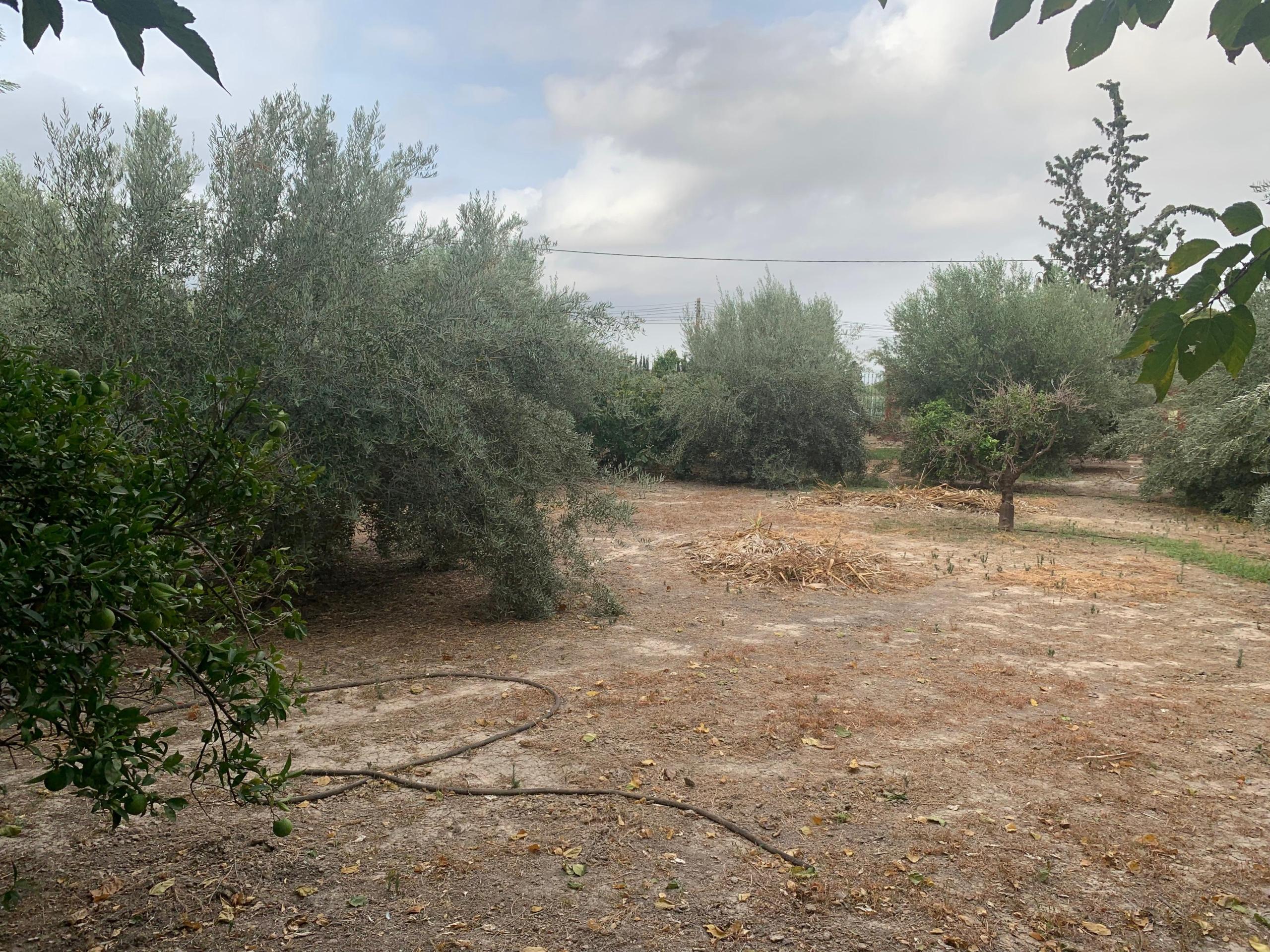 WhatsApp Image 2025-12-16 at 11.54.56 (2)