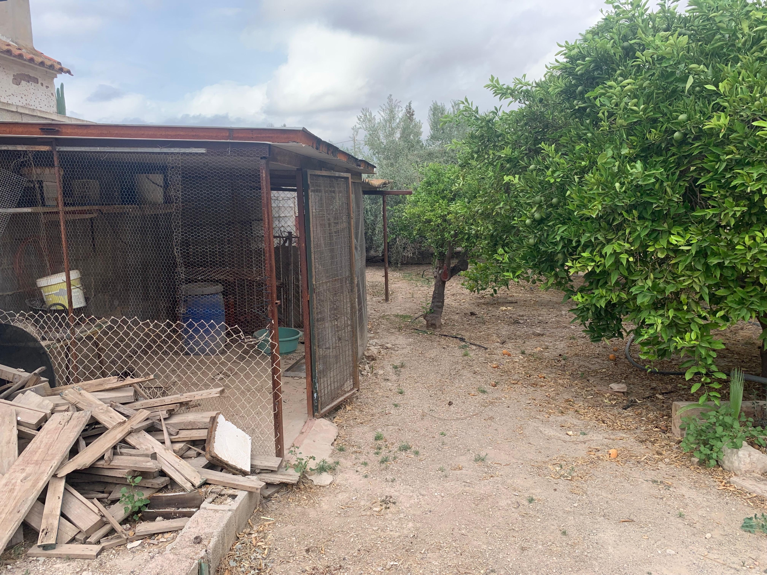 WhatsApp Image 2025-12-16 at 11.54.57 (2)